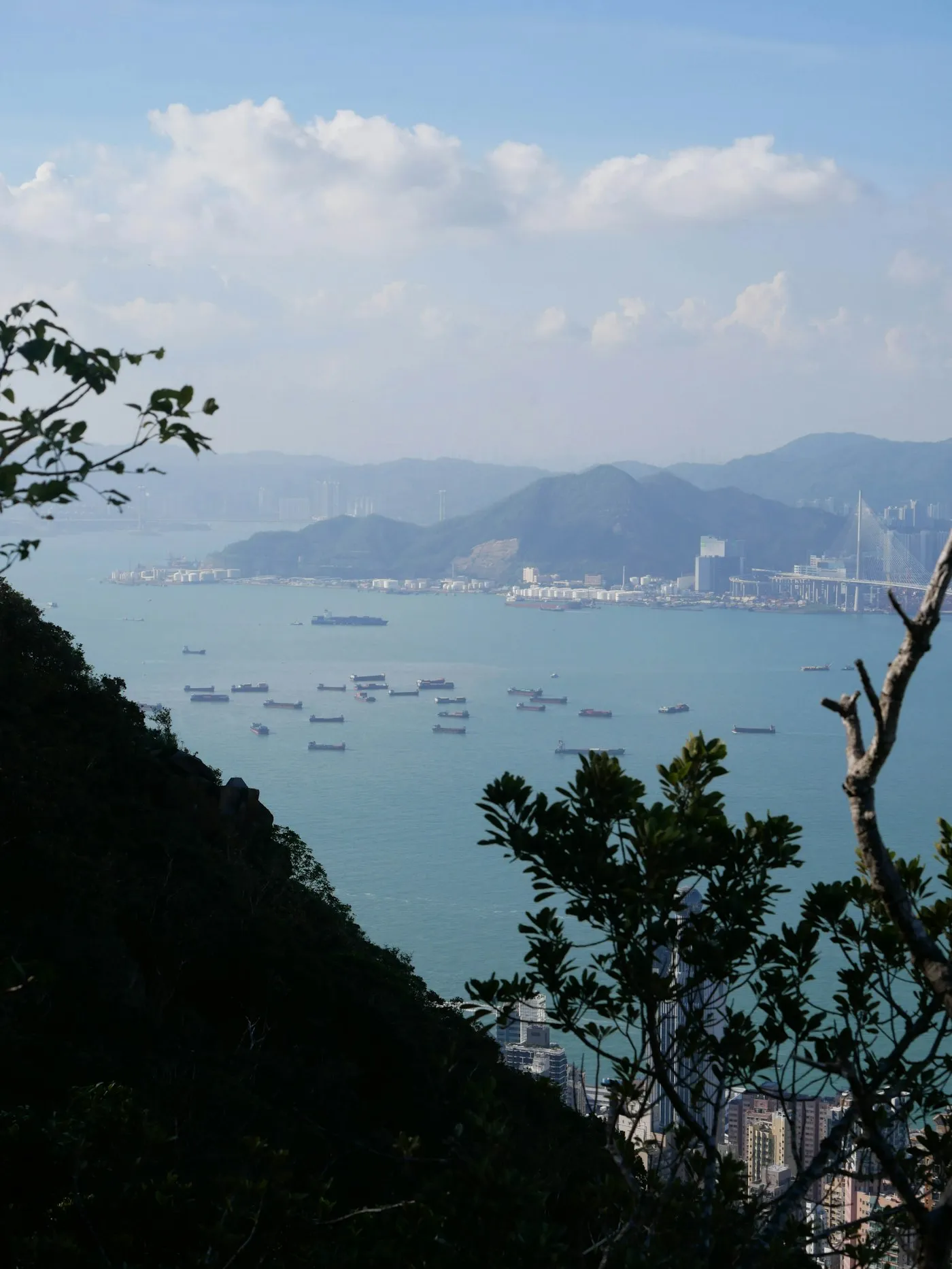 Cargo ships at anchor in a harbour, seen from a wooded hillside
